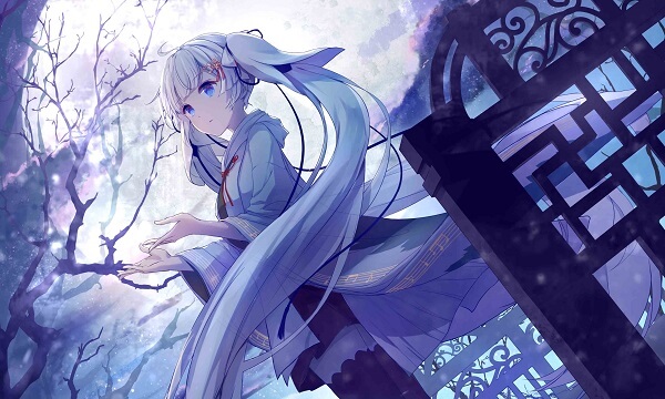 使用 LVM 扩展 / 的空间