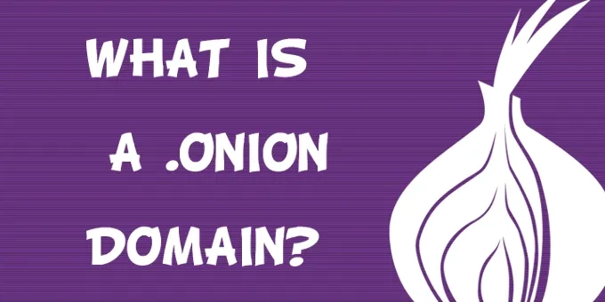 深夜……搭建 洋葱网站